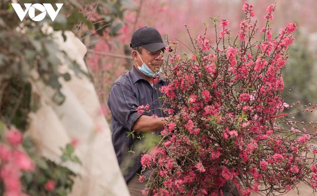 Chốt lịch nghỉ Tết Nguyên đán Quý Mão 2023 kéo dài 7 ngày 