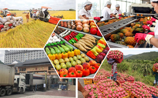 Bảo đảm tính minh bạch trong truy xuất nguồn gốc xúc tiến thương mại