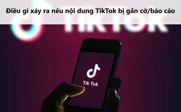 8 bộ, ngành phối hợp kiểm tra toàn diện hoạt động của TikTok tại Việt Nam 