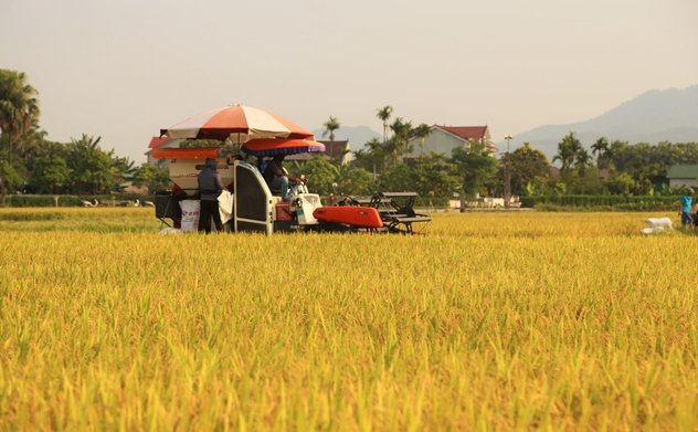 Nông nghiệp phát huy vai trò trụ đỡ của nền kinh tế