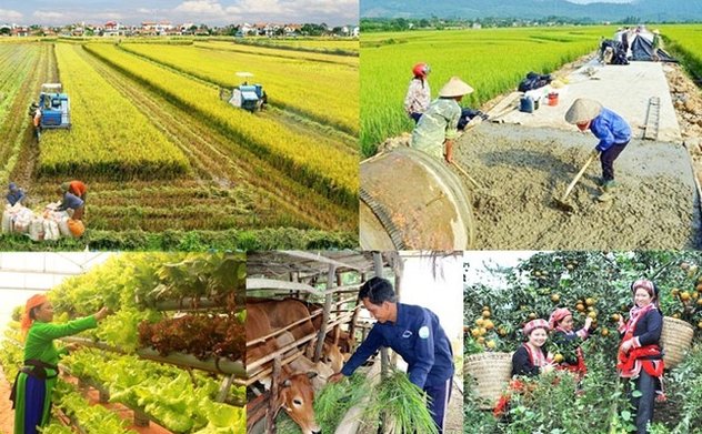 Triển khai Nghị quyết của Quốc hội về cơ chế đặc thù thực hiện các chương trình mục tiêu quốc gia 