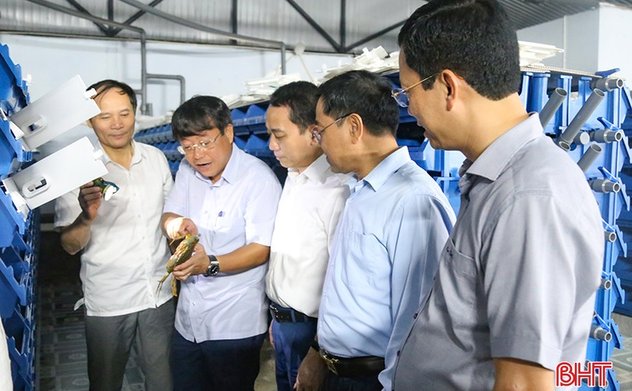 Phối hợp phát triển nông nghiệp đa giá trị trên địa bàn TP Hà Tĩnh