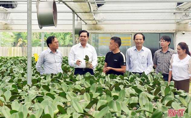 Tạo điều kiện hỗ trợ người dân, doanh nghiệp nhân rộng mô hình sản xuất hiện đại