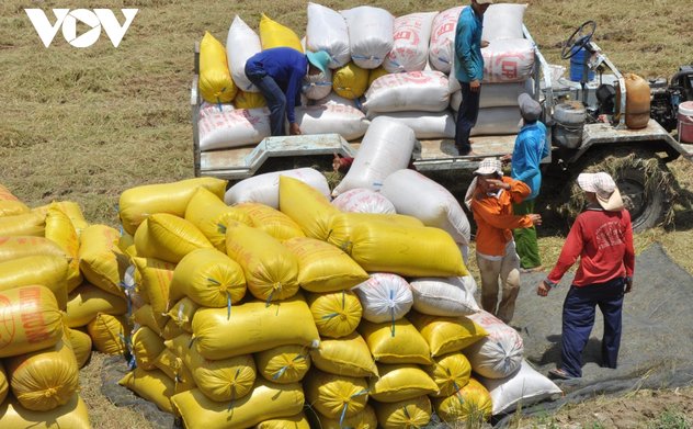 Xuất khẩu khởi sắc cơ hội để khẳng định thương hiệu gạo Việt Nam