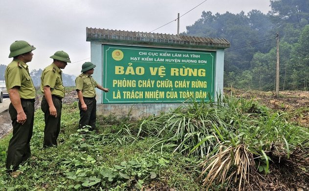 Chủ tịch UBND tỉnh ra Công điện về tăng cường các biện pháp cấp bách phòng cháy, chữa cháy rừng 