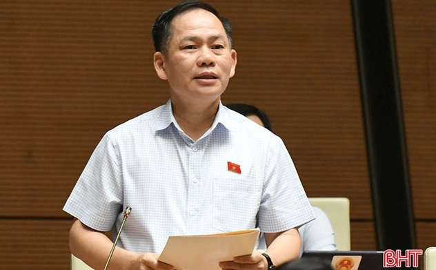 Phó Trưởng đoàn chuyên trách Đoàn ĐBQH Hà Tĩnh nêu ý kiến về dạy thêm, học thêm