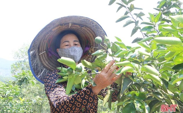 Vũ Quang phát triển kinh tế gắn với xây dựng nông thôn mới