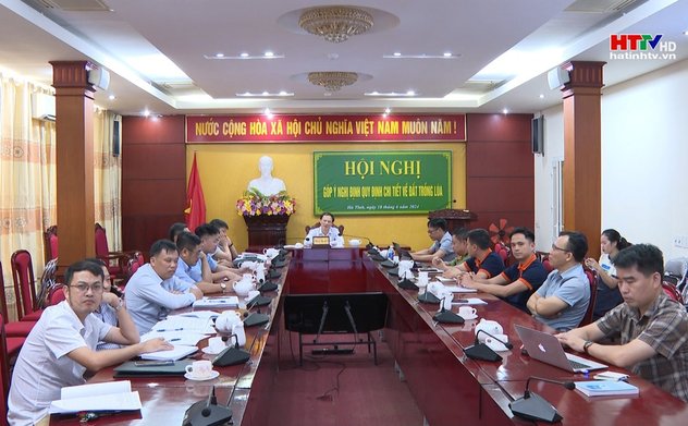 Chính phủ họp nghị bàn về Nghị định quy định đất trồng lúa