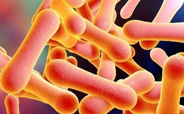 Bệnh bạch hầu nguy hiểm thế nào mà từng được coi là nỗi ám ảnh của thế giới? 