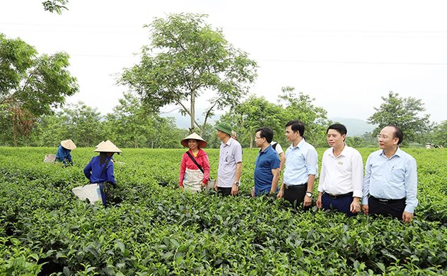 Kế hoạch phát triển ngành nghề nông thôn trên địa bàn tỉnh Hà Tĩnh đến năm 2030, tầm nhìn đến năm 2045