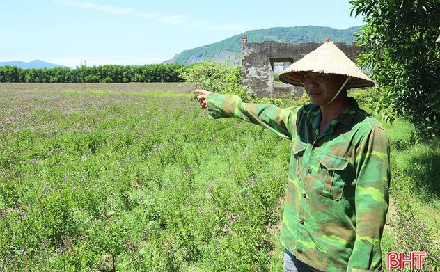 Đa dạng mô hình kinh tế, Kỳ Tân nỗ lực về đích nông thôn mới nâng cao 