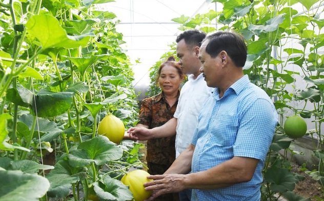 Đồng bào Công giáo Hà Tĩnh hăng say xây dựng nông thôn mới