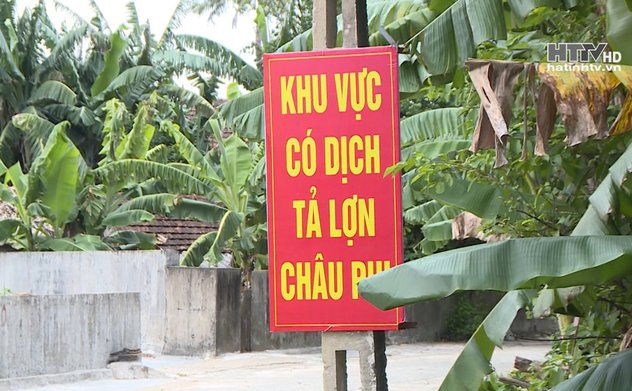 Hà Tĩnh quyết liệt phòng chống dịch tả lợn châu Phi 