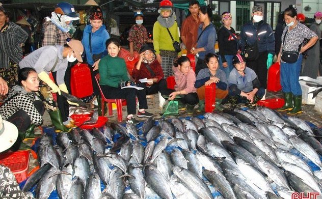 Ngư dân phấn khởi khai thác vụ cá quan trọng nhất trong năm