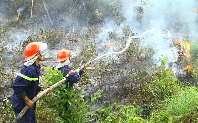 Quảng Bình: Đã khống chế vụ cháy rừng tại Đèo Ngang 
