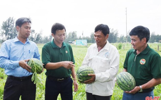Tiêu chí thu nhập - điểm nhấn trong xây dựng nông thôn mới ở Lộc Hà