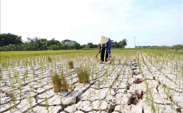 Hành động vì mục tiêu phát triển bền vững