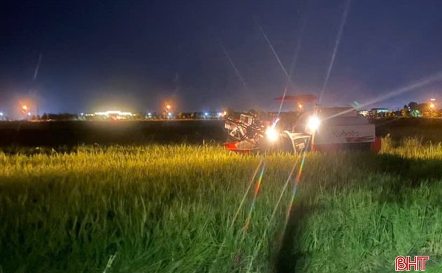 Nông dân Hà Tĩnh cấp tập thu hoạch lúa hè thu "chạy" bão số 3