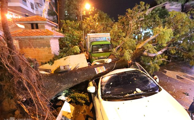 Kỹ năng lái xe trong giông bão 