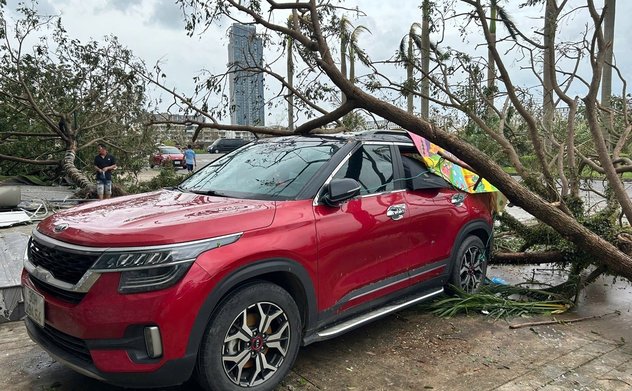 Đề nghị doanh nghiệp bảo hiểm tạm ứng, bồi thường thiệt hại do bão số 3