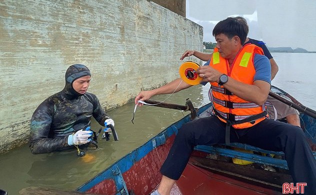 Kiểm tra an toàn cầu Bến Thủy 1 và cầu Linh Cảm