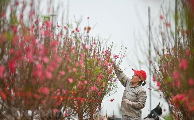 Bộ LĐ-TBXH đề xuất dịp nghỉ Tết Nguyên đán năm 2025 kéo dài 9 ngày