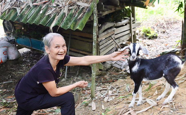 Vũ Quang: Đa dạng mô hình sinh kế giúp người dân ổn định cuộc sống