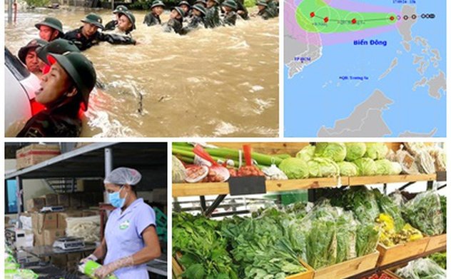 Chỉ đạo, điều hành của Chính phủ, Thủ tướng Chính phủ nổi bật tuần từ 14-20/9/2024 