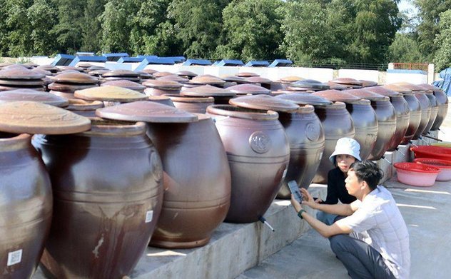 Hà Tĩnh: 237 hợp tác xã tham gia đóng nộp bảo hiểm cho thành viên và người lao động