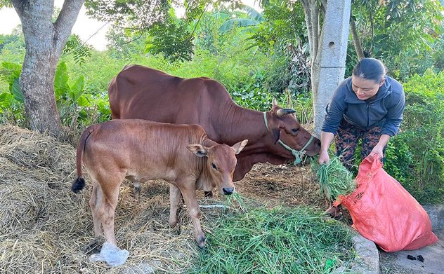 Can Lộc: Nỗ lực đổi thay cuộc sống của phụ nữ nghèo