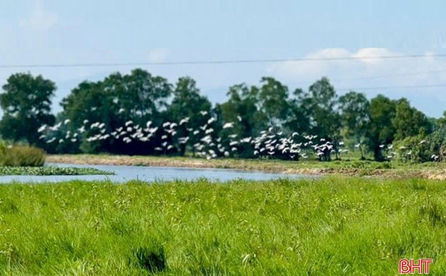 Dự báo thời tiết Hà Tĩnh trong 6 ngày tới 