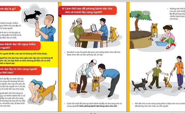 Không chủ quan khi bị chó, mèo cắn, cào cấu