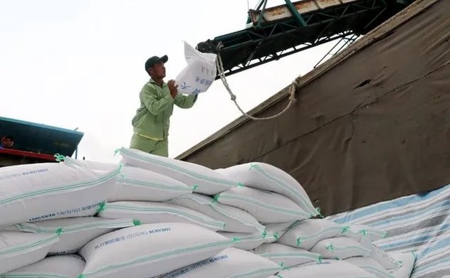 Ấn Độ bỏ giá sàn xuất khẩu, gạo Việt Nam có bị tác động? 