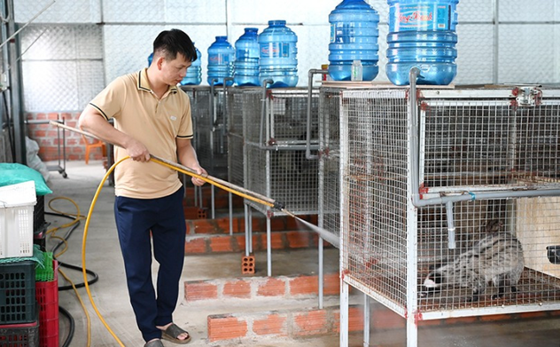 Nông dân Hương Khê quyết làm giàu từ nuôi chồn hương