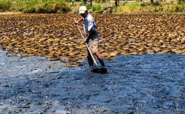 Thủ tướng chỉ đạo chủ động phòng, chống hạn hán, thiếu nước, xâm nhập mặn