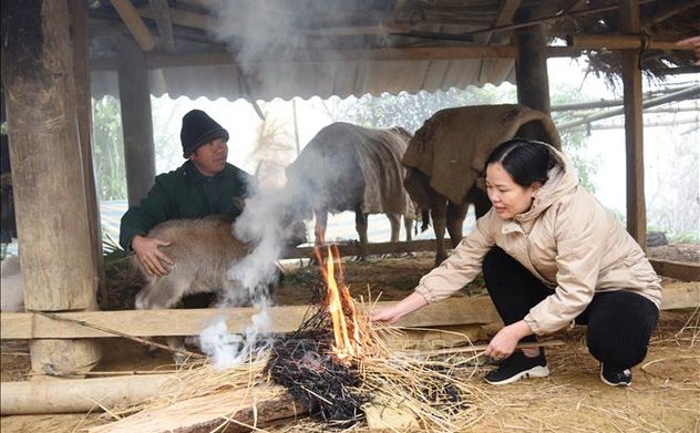 Khả năng có nhiều đợt rét đậm, rét hại trong 2 tháng đầu năm 2025