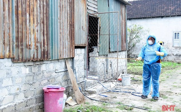 Khẩn trương khống chế, không để dịch tả lợn châu Phi lây lan diện rộng