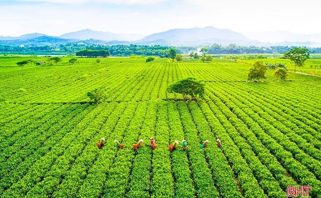 2 đợt không khí lạnh sắp tràn về Bắc Bộ, Hà Tĩnh có mưa, chuyển rét