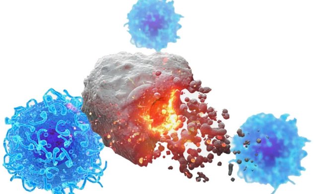 Nghiên cứu thành công vaccine mới chống lại 4 loại ung thư 