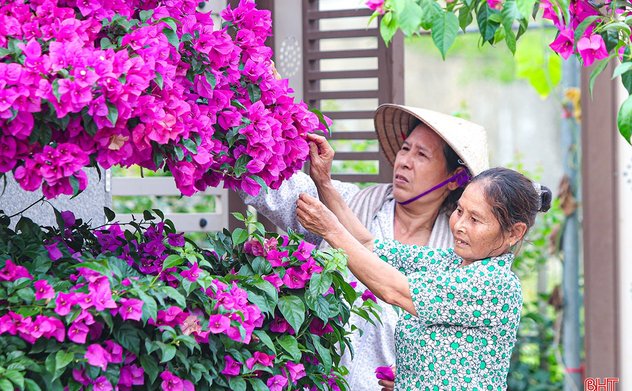 Rực rỡ sắc màu ở khu dân cư nông thôn mới kiểu mẫu Việt Yên