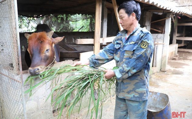 Người cựu chiến binh làm kinh tế giỏi ở Hương Sơn