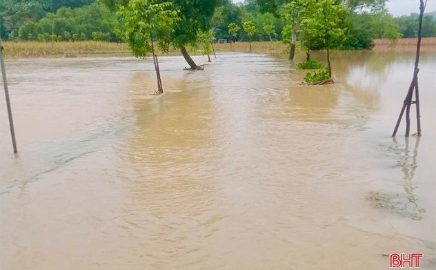 Nhiều tuyến đường bị chia cắt cục bộ, hoa màu ngập úng do mưa lớn