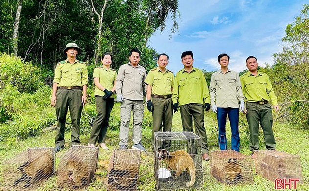 Tái thả 6 cá thể động vật hoang dã về Vườn Quốc gia Vũ Quang