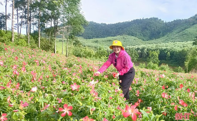 Nghị quyết 57 - đòn bẩy chuyển đổi số ngành nông nghiệp 