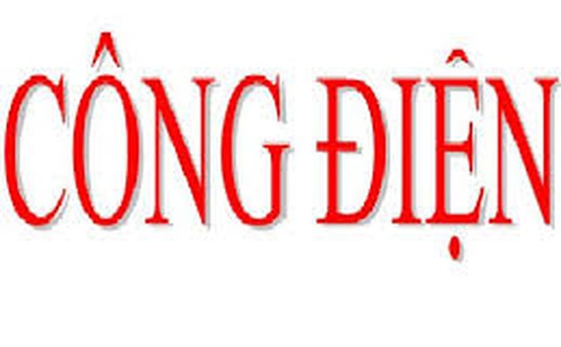 Khẩn trương khắc phục hậu quả bão số 5, đảm bảo ổn định đời sống nhân dân