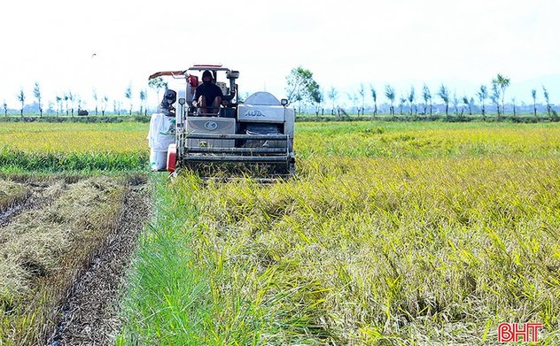Công nghệ tưới ngập - khô xen kẽ trong canh tác lúa giảm phát thải 