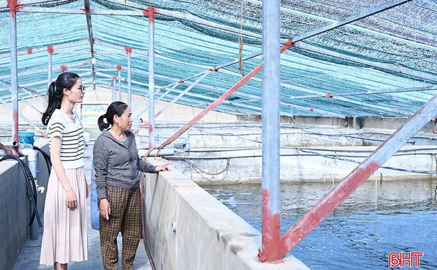 Khơi thông dòng vốn hỗ trợ hợp tác xã Hà Tĩnh phát triển 