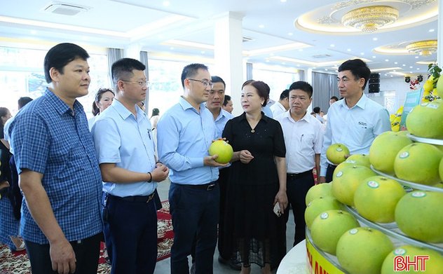 Xúc tiến thương mại tiêu thụ bưởi Phúc Trạch đạt chuẩn hữu cơ