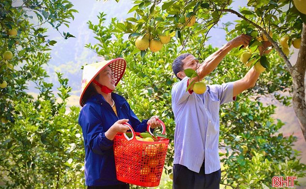 "Đòn bẩy" giúp nông dân Vũ Quang phát triển kinh tế bền vững