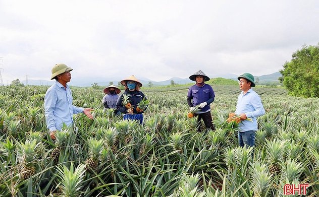 Hà Tĩnh hướng đến nền nông nghiệp xanh từ sản xuất giảm phát thải